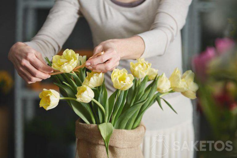 Kytice tulipánů v pytli